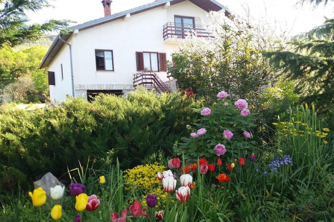 Vranje Kuca Sonjaヴィラ エクステリア 写真